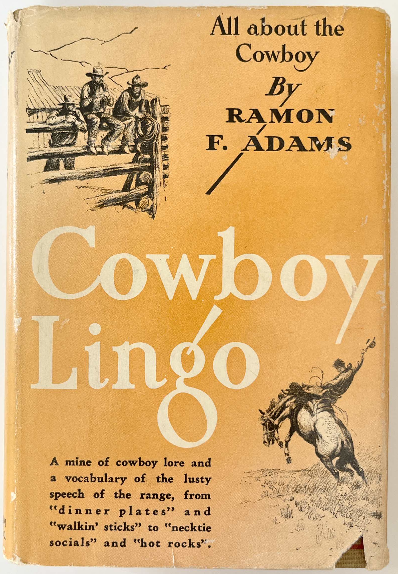 COWBOY GEAR　カウボーイ洋書　ニューメキシコ　ネイティブアメリカン COWBOY GEAR カウボーイ洋書 ニューメキシコ ネイティブ
